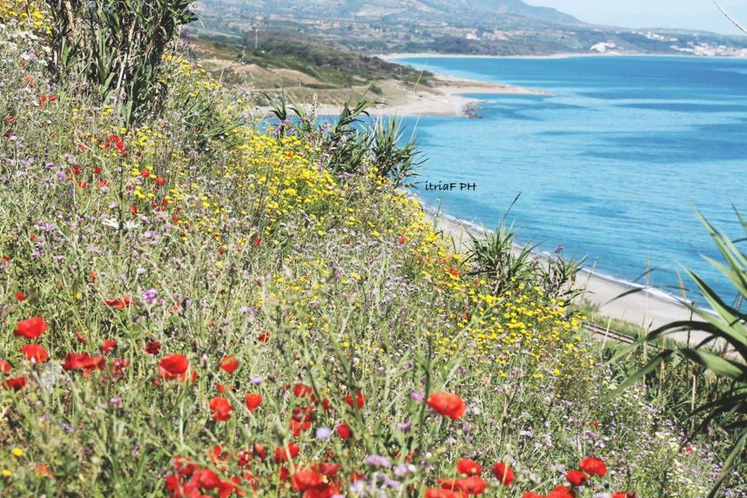 시로마리나 Climatizzato In Centro A 100M Dal Mare 빌라 외부 사진